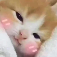 tác giả