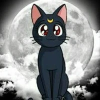 Luna-Cộng sự Usagi