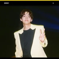 Kim Taehyung V