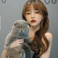 Linh Ngọc Đàm