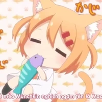 miki dragneel