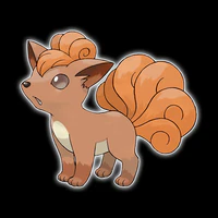 Rokon