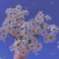 Tác giả-Synie đây !!!✨💖