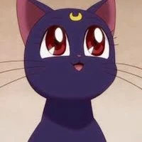 Luna ( mèo của Mily)