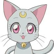 Daiana(mèo của Mily)