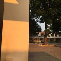 Đa nhân vật 
