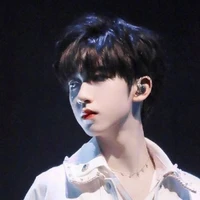Hạ Tuấn Lâm