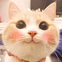 TG cute