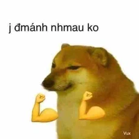 Y/n Péo >:))