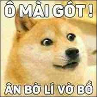 Tao là mẹ ghẻ
