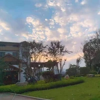 All các cậu và các anh