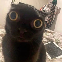 con tác giả quyền năng