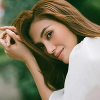 Hoàng Yến (Én)
