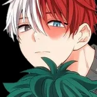 Todoroki Shoto [ Shoto ]