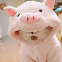 tác giả hệ yêu mèo