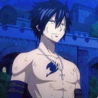 Gray Fullbuster