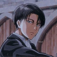 Levi