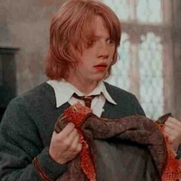 Ron Weasley 