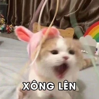 tác giả