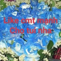 NV tổng hợp