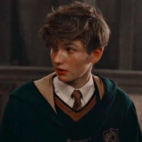 Newt Scamander