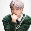 kim namjoon( namjoon)
