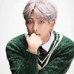 kim namjoon( namjoon)
