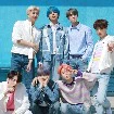 các anh(- jungkook)