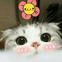 Tác giả(ridyy)