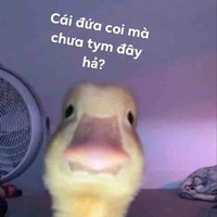 Zịt Con•( tác giả)