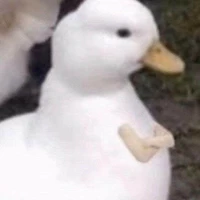 T/b