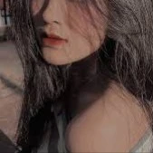 Park Y/n