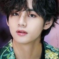 Taehyung ( V )