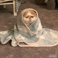 đừng quan tâm mị :>