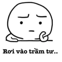 nvp nam