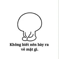 nvp nữ