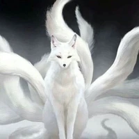 tác giả (bạch hồ ly)