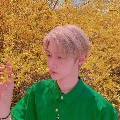 Lee Felix
