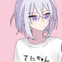 Y/N