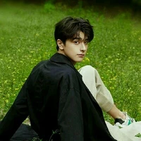 Vương Phong Sư Tử