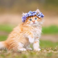 °ta là tác giả U-U°