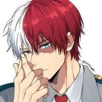 Todoroki Shouto