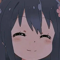 Y/N