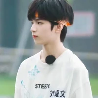 Lưu Diệu Văn