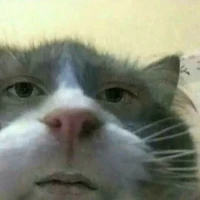 con au mê troai:>