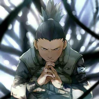 Shikamaru