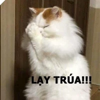 Tác giả