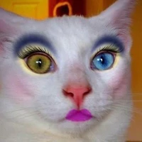 Quản ngục mê zai dễ zãi