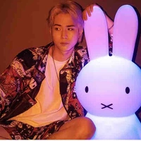 K.O (Sơn)