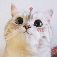 con tg lười biếng